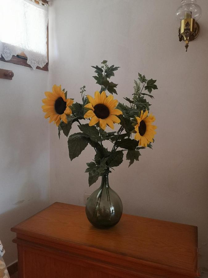 Casa Dolors Villa Osso de Sio ภายนอก รูปภาพ